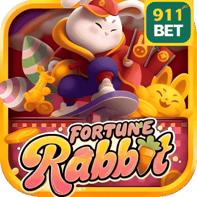 Figura 3 do login da 911BET